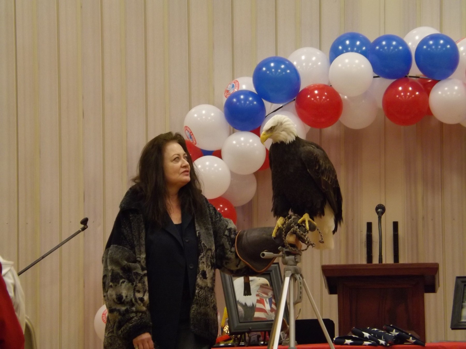 Bald Eagle education program in a civic setting