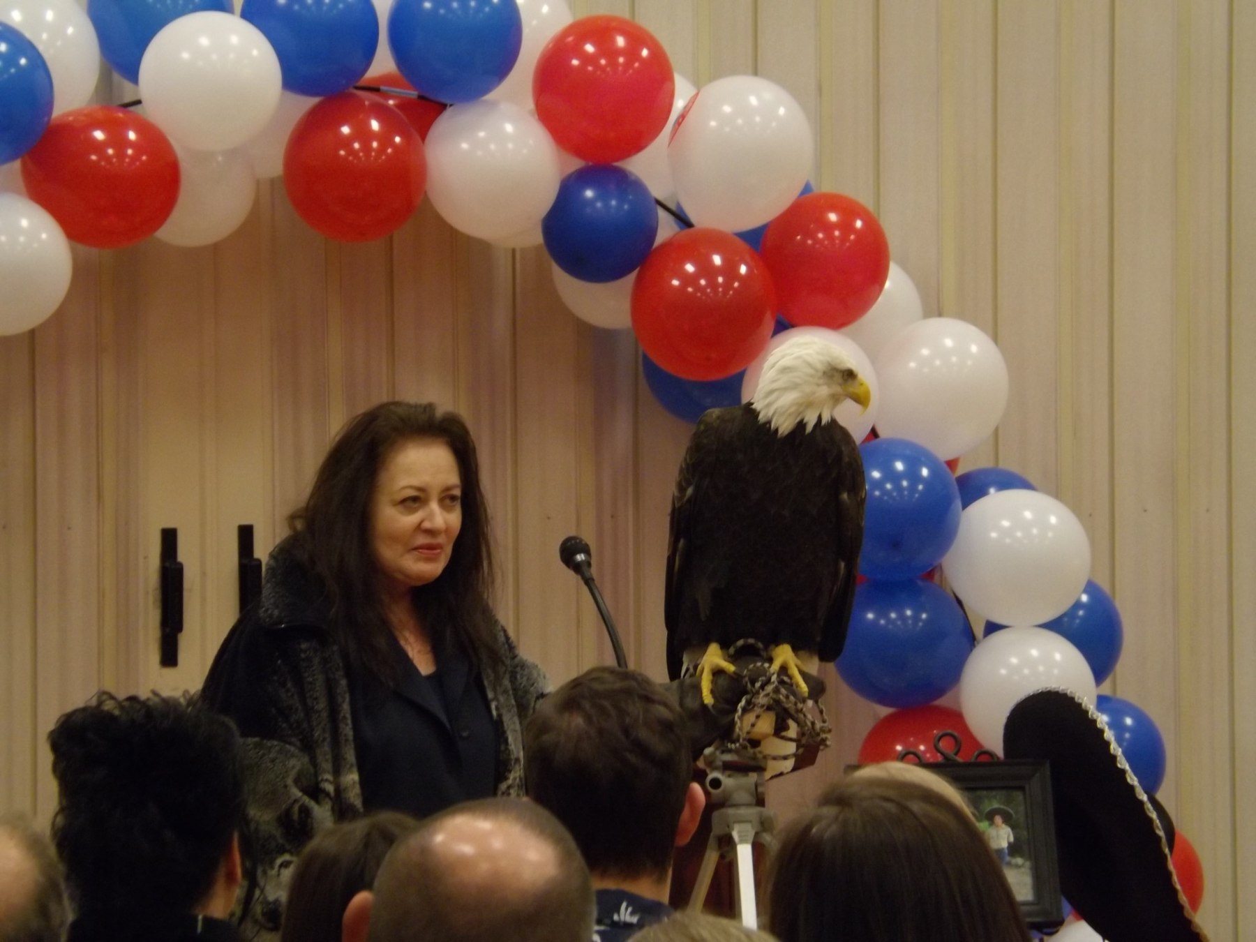 Structured Bald Eagle presentation before a public audience